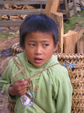Porter, Phobjika valley, Bhutan