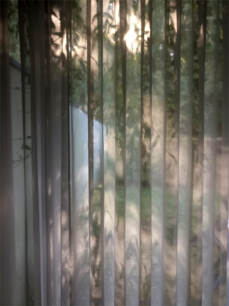 Sunlight on my kitchen curtains